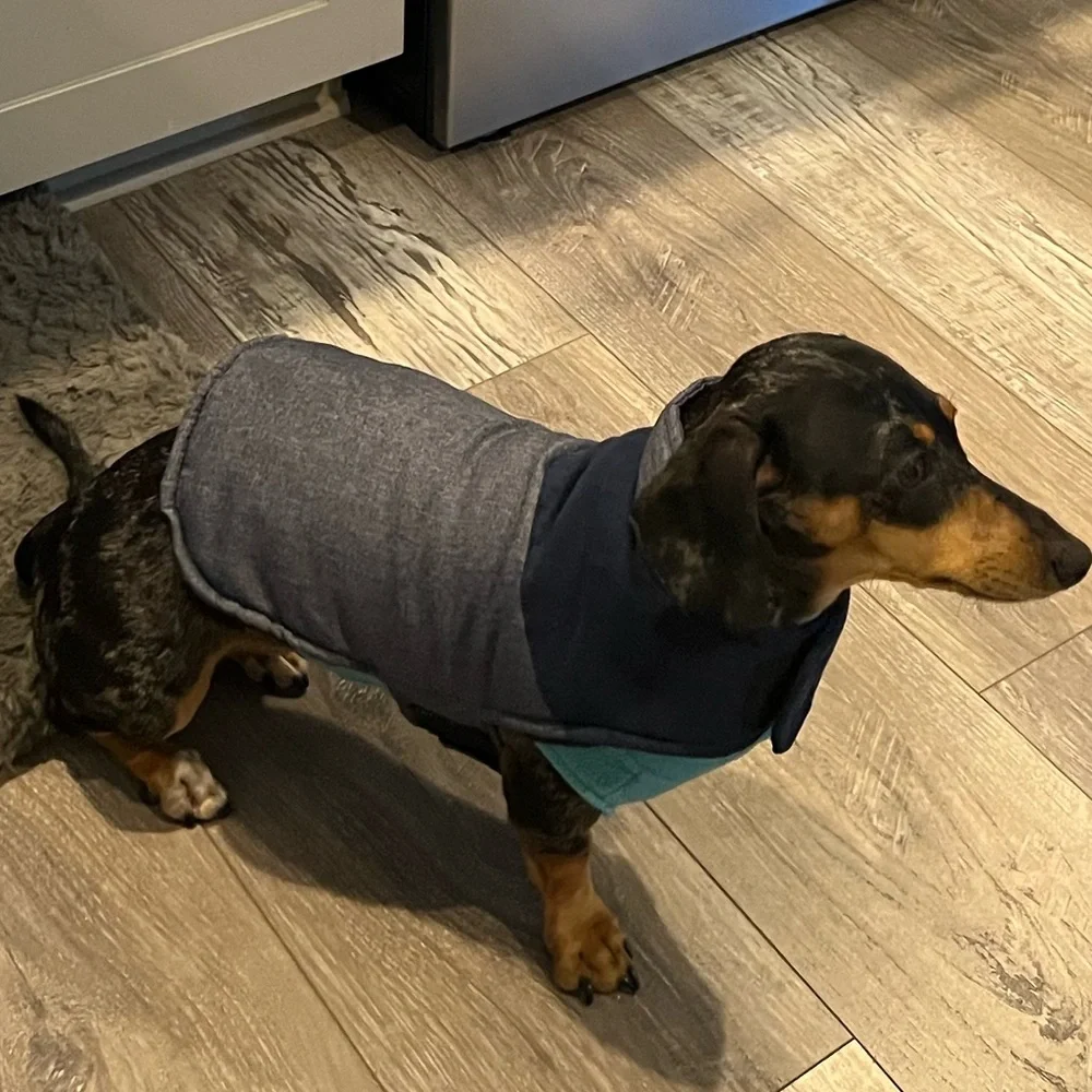 Quick & Easy Adjustable Gray & Blue Dog Jacket with Velcro Neck & Tummy Closures